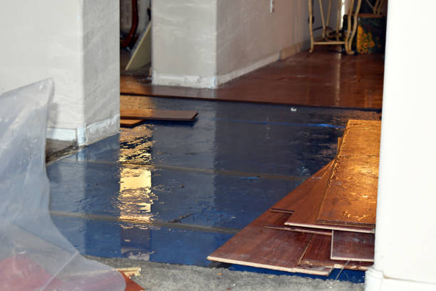 Professional Burst Pipe Cleanup technician working in Ramer, TN